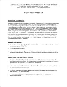 Mentorship program 11
